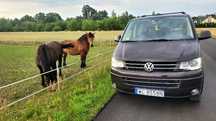 Volkswagen Multivan Highline