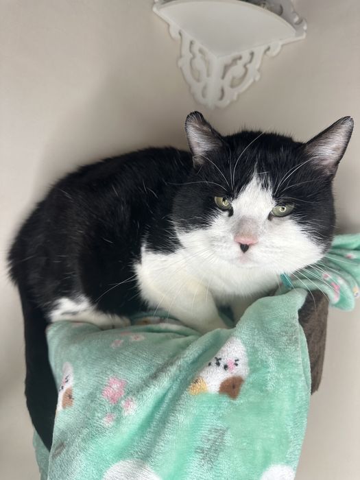 Боренька очень ищет любящую семью