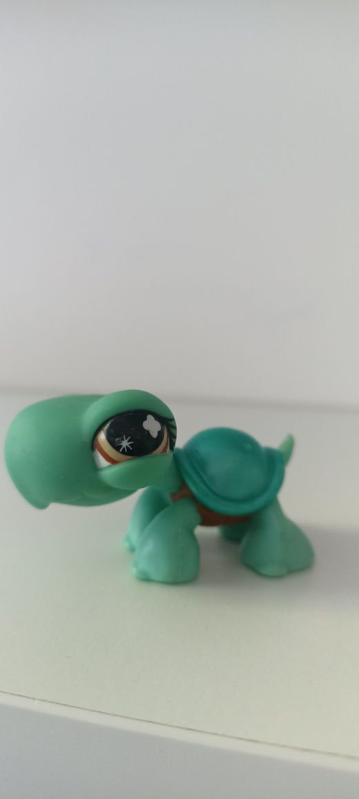 Żółwik LPS, littlest pet shop