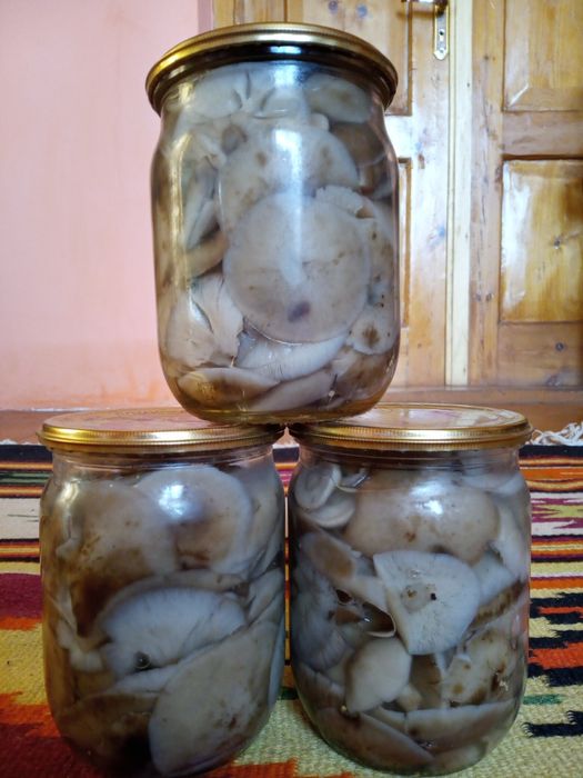 Продам мариновані опеньки