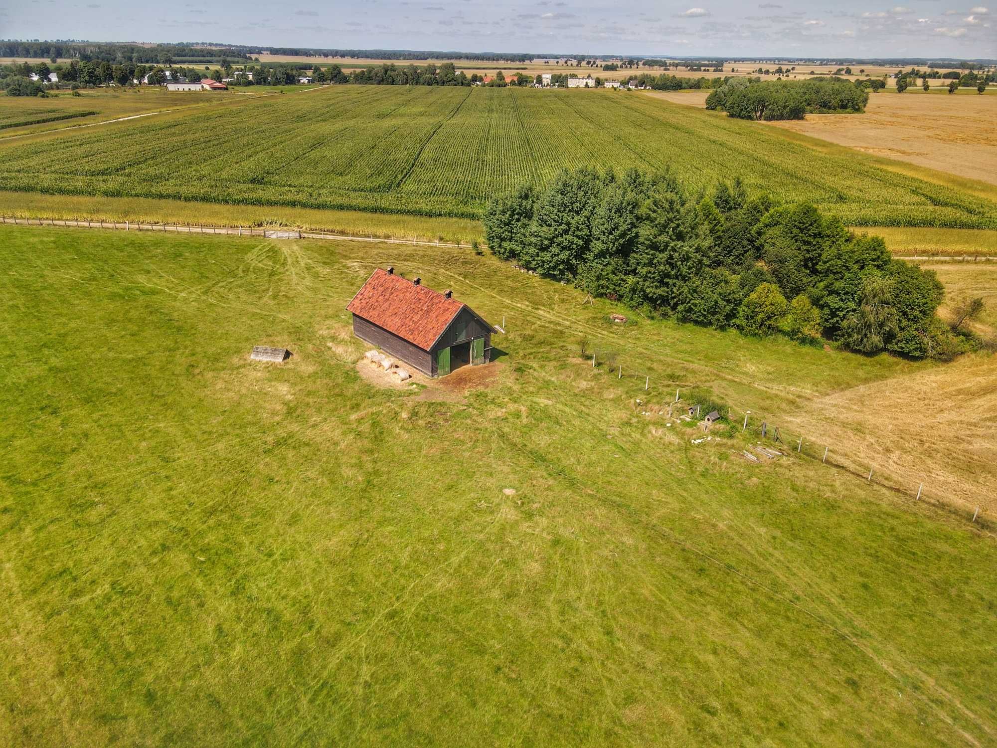 Promocja dla inwestorów pod stajnię dla koni, 3-4 ha z zabudowaniem!