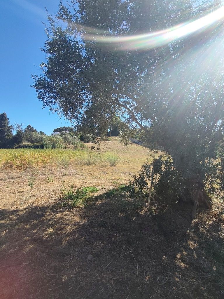 Terreno em Palmela