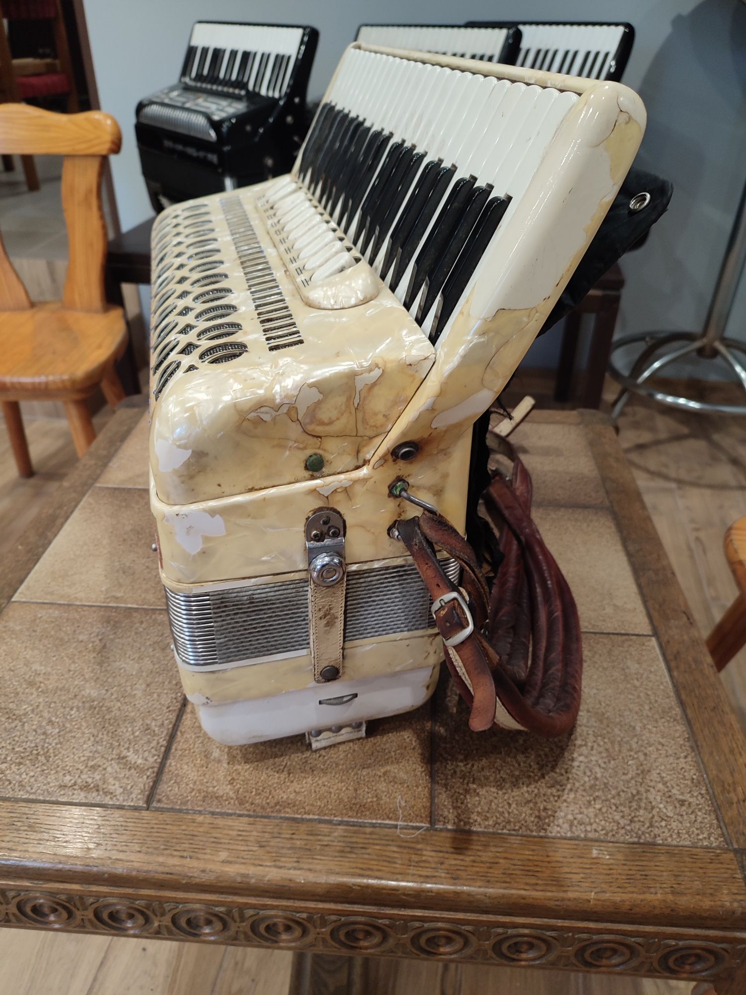 Akordeon Hohner Champion 120 basów