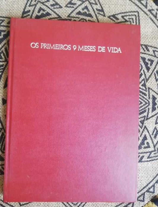 Livro 'Os primeiros 9 meses de vida'- Geraldine Lux Flanagan