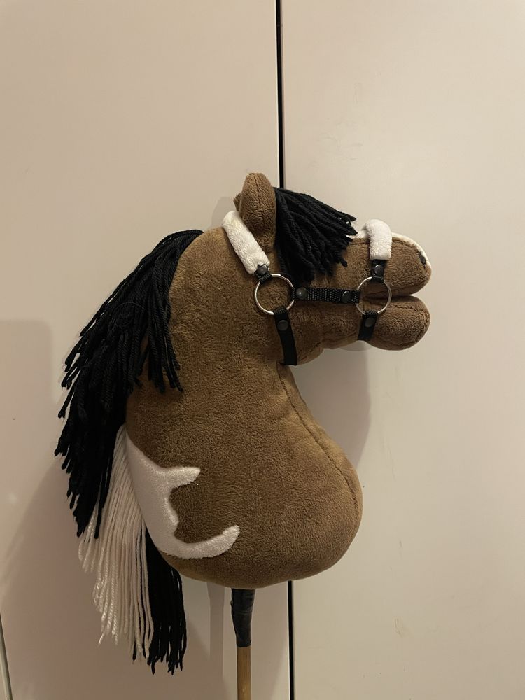 Konik na kiju. Hobby horse