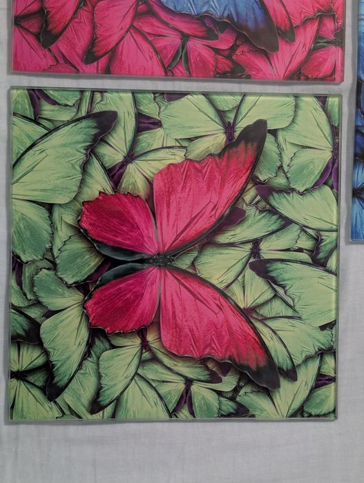 3 obrazy motyle 20x20 komplet
