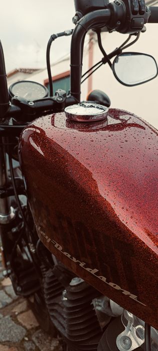 Harley Davidson Forty Eight de 2015