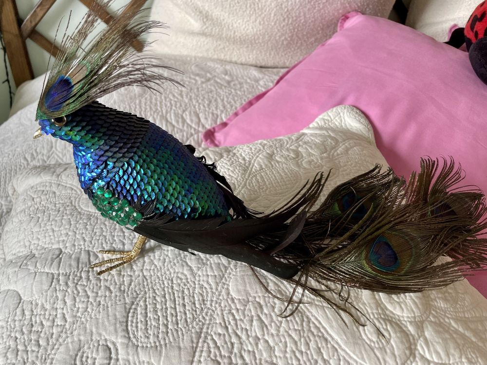 Pavão decorativo com penas verdadeiras