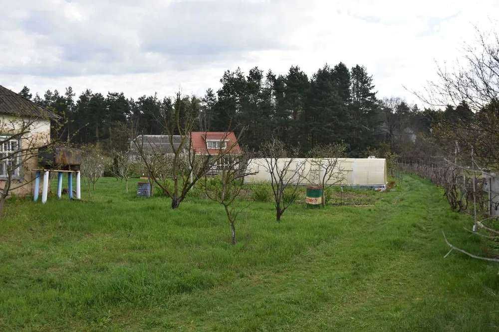 Власне озеро виноградники теплиця сад Бориспольскій р-н Вороньків