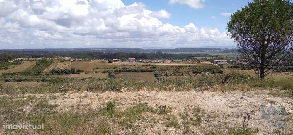 Terreno para construção em Maiorca de 1799,00 m2