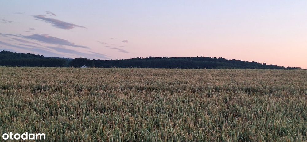 Działka budowlana - 24,72 ar (+3,26 ar GRATIS !!!) - Przemyśl