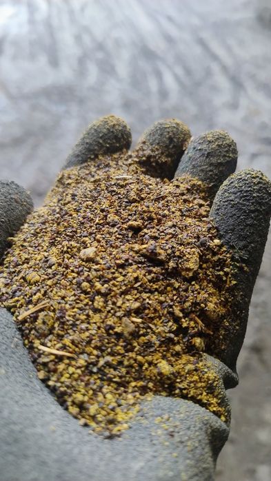 Śruta rzepakowa pasza karma bydło opas krowy owce trzoda