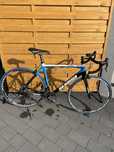 Rower Szosowy Jan Janssen Sonic Karbon (Mavic, Campagnolo Chorus, Pro)