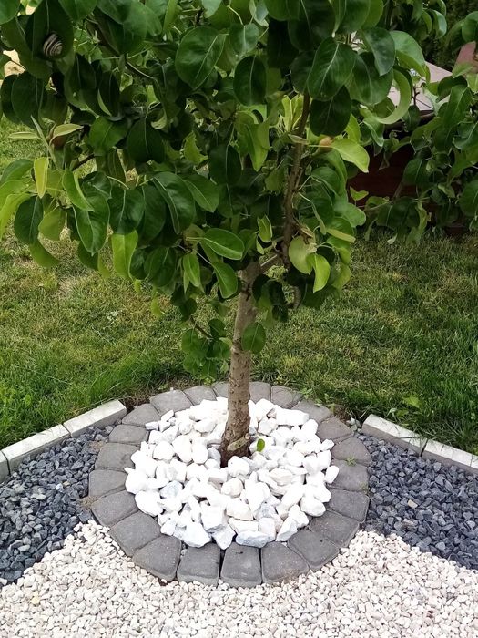 Kamień dekoracyjny kruszywo ozdobne do ogrodu