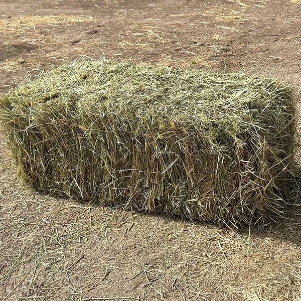 Продам сено луговое