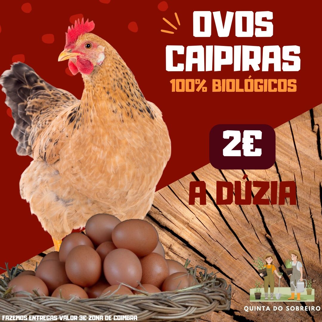 Ovos biológicos p/ Consumo