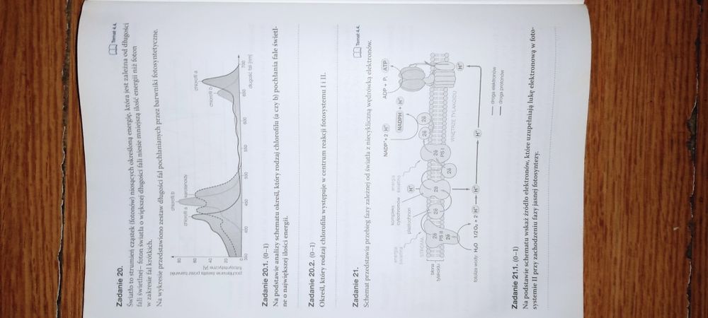 Biologia na czasie 1