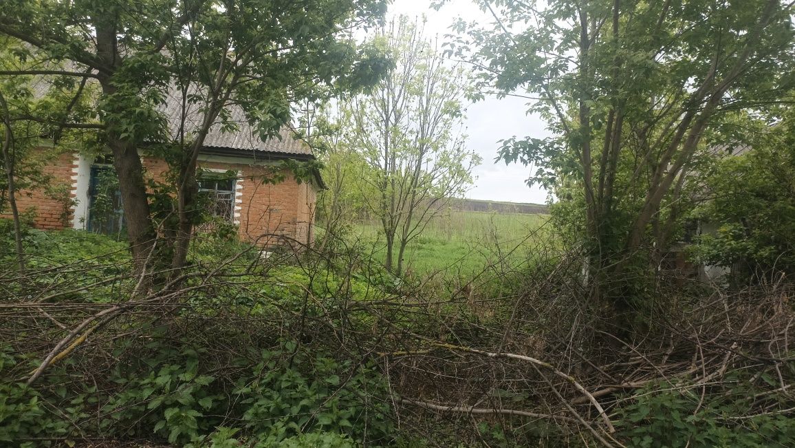 Продам старий будинок разом з ділянкою.