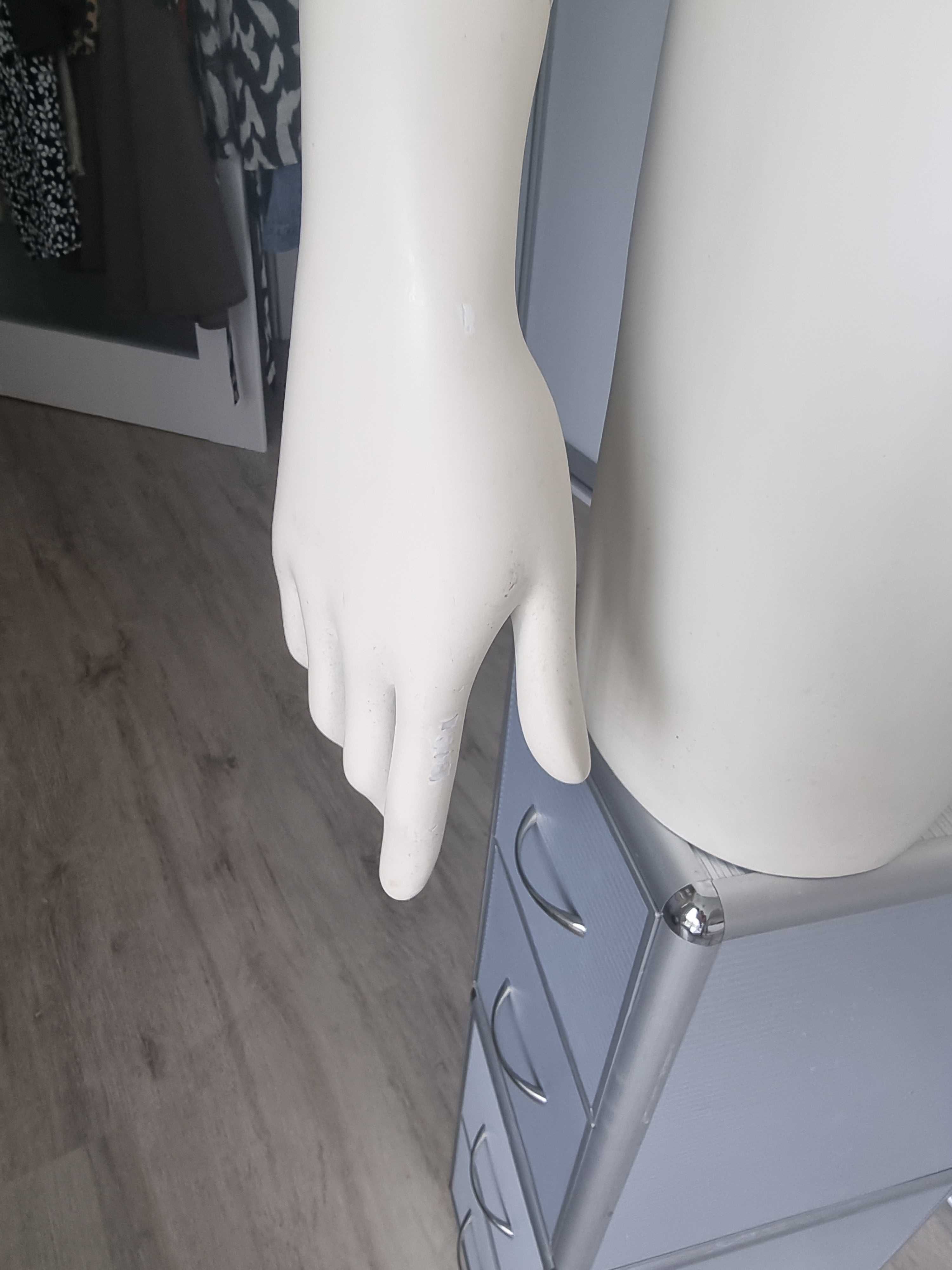 Manekin półpostaciowy kobieta rozmiar S