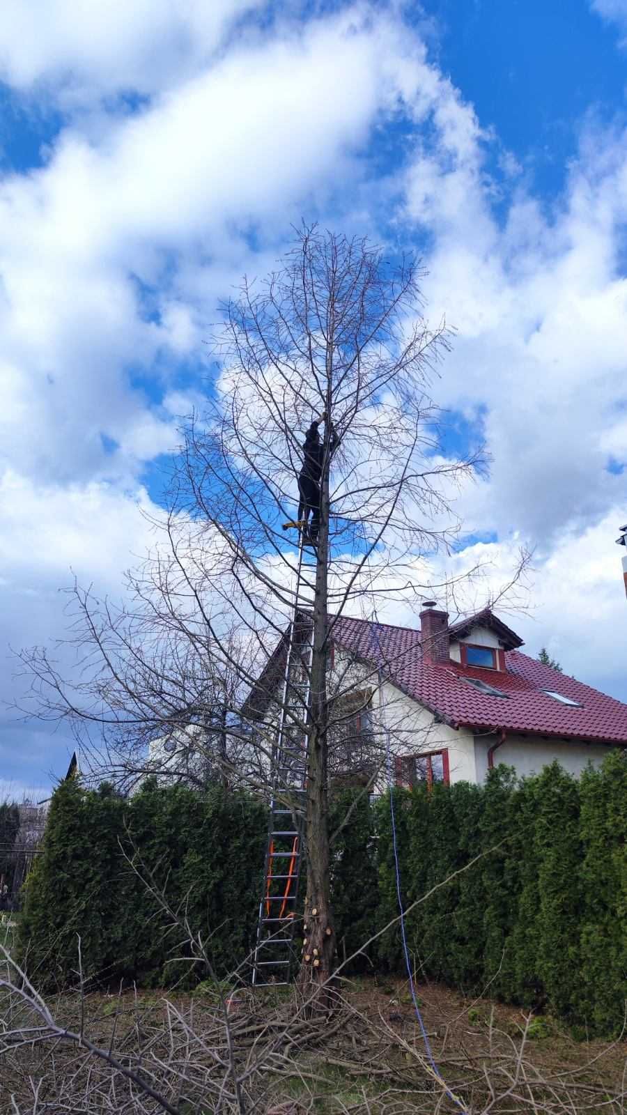 Usługi ogrodnicze, zakładanie i pielęgnacja ogrodów