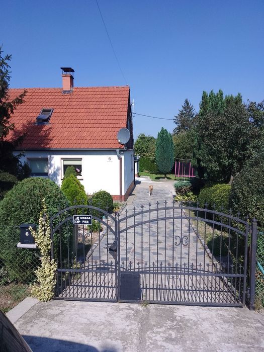 Dom bliźniak w Niemczy