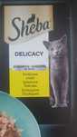 Karma dla kota Sheba Delicacy Drobiowe Smaki w Galaretce 36x85g
