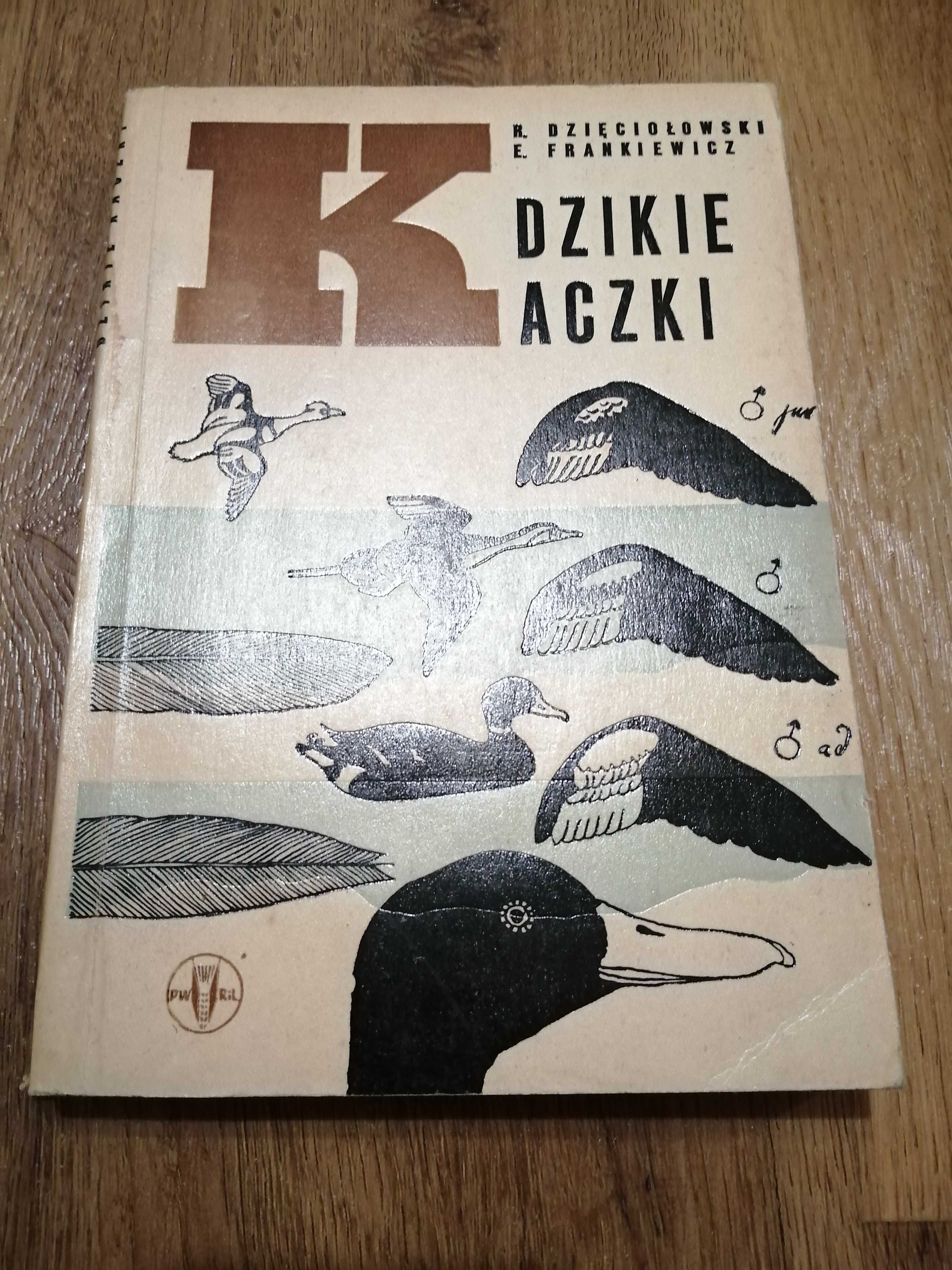 Dzięciołowski, Frankiewicz, Dzikie kaczki, 1966