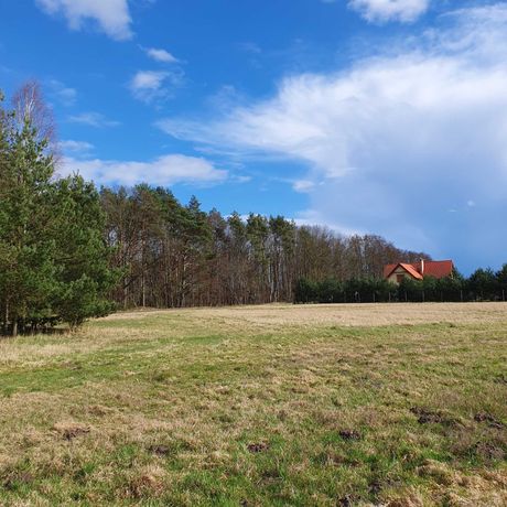 Działki z warunkami zabudowy w Bielkowie, gm. Kobylanka