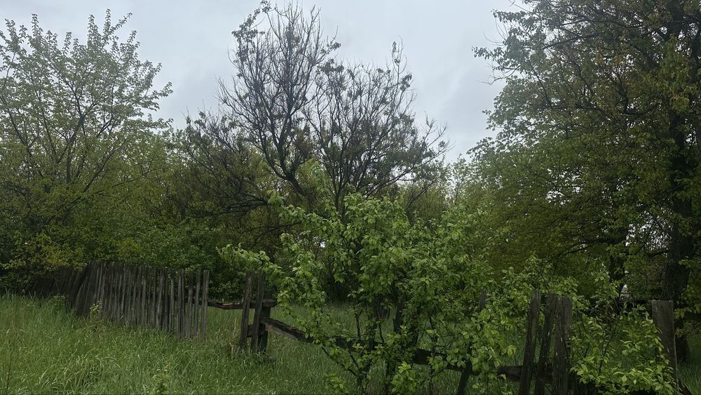 Северинівка, Макарівський район, ровна прямокутна ділянка з будинком