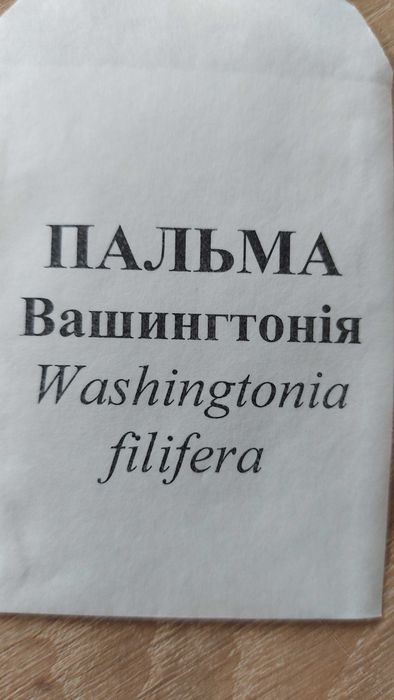 Продам насіння пальми Вашингтонія