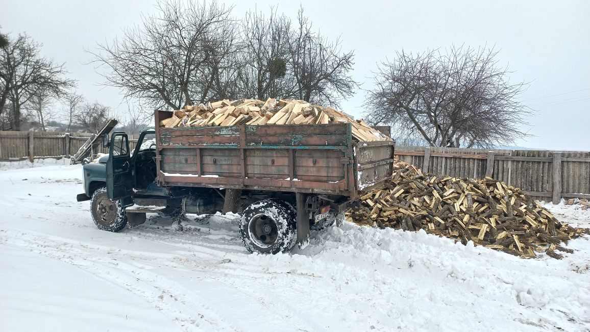 Дрова лісові твердих порід