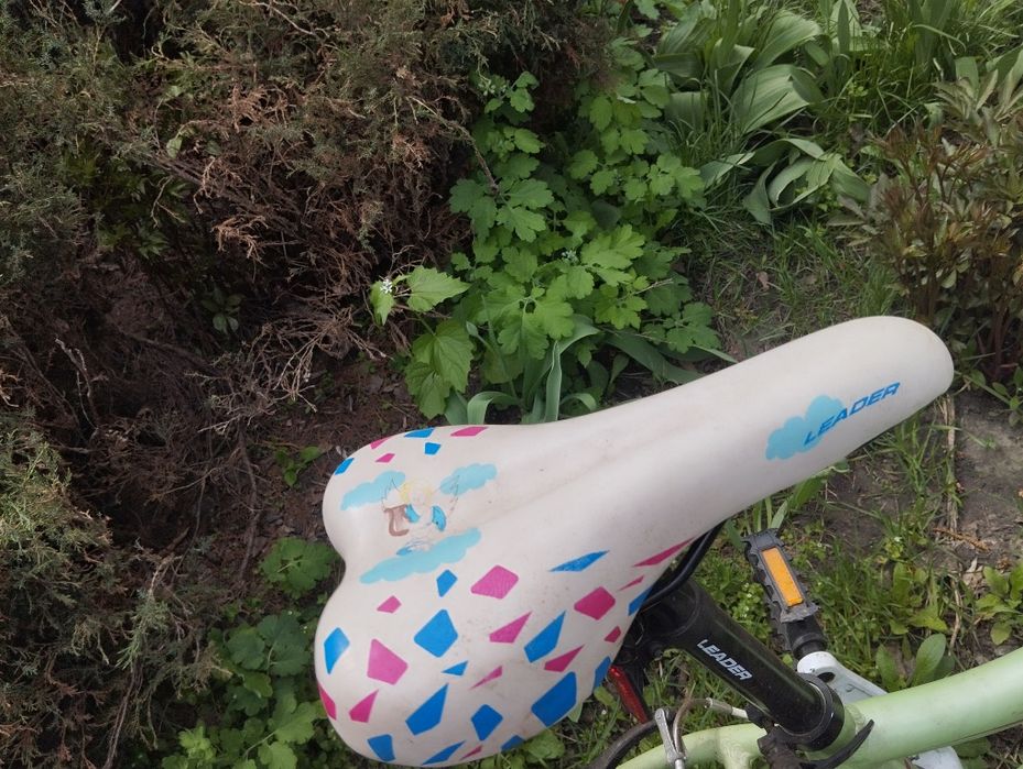 Велосипед подростковый MTB Leader Jasmine 24