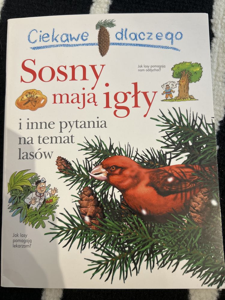 Książka Ciekawe dlaczego sosny mają igły i inne pytania
