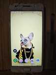 (Lenovo) Zuk Z2 Plus