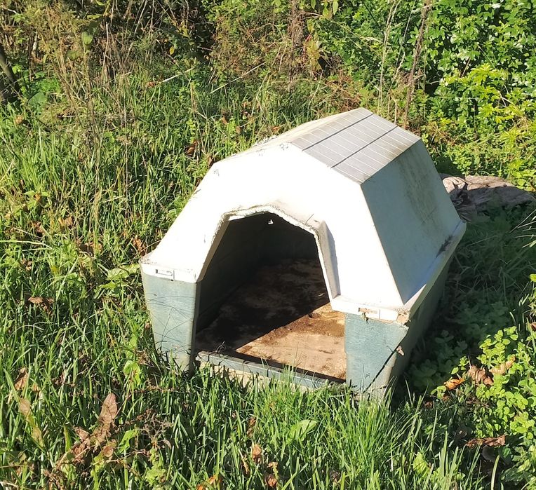 Casota em bom estado