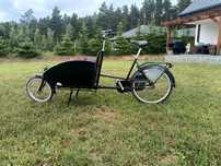 Rower towarowy cargo