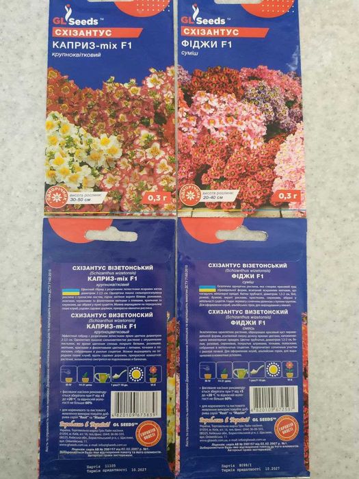 Схизантус, Левкой, Бальзамин, Венидиум, Астра разноцветная, крупная.