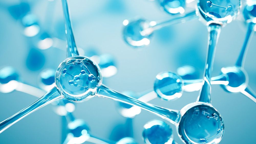 Korepetycje Chemia, Biologia, Matematyka