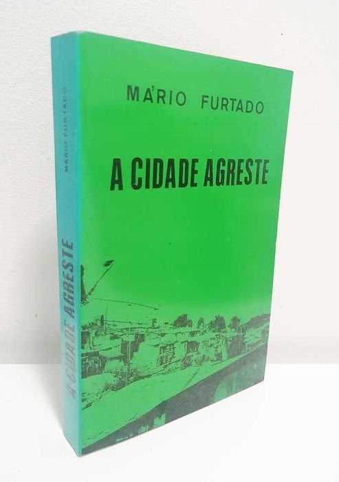 A Cidade Agreste, de Mário Furtado
