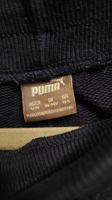 Dres Puma bluza i spodnie 158-164