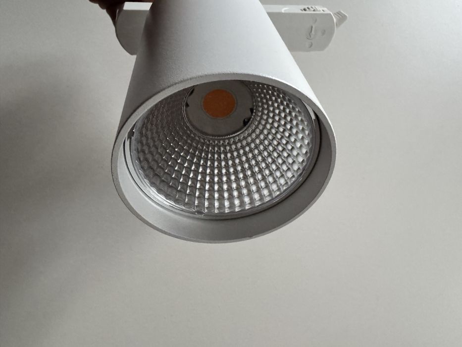 Spot Spectra Daisy 80 1250lm 12W Szynoprzewód 24szt dostępne