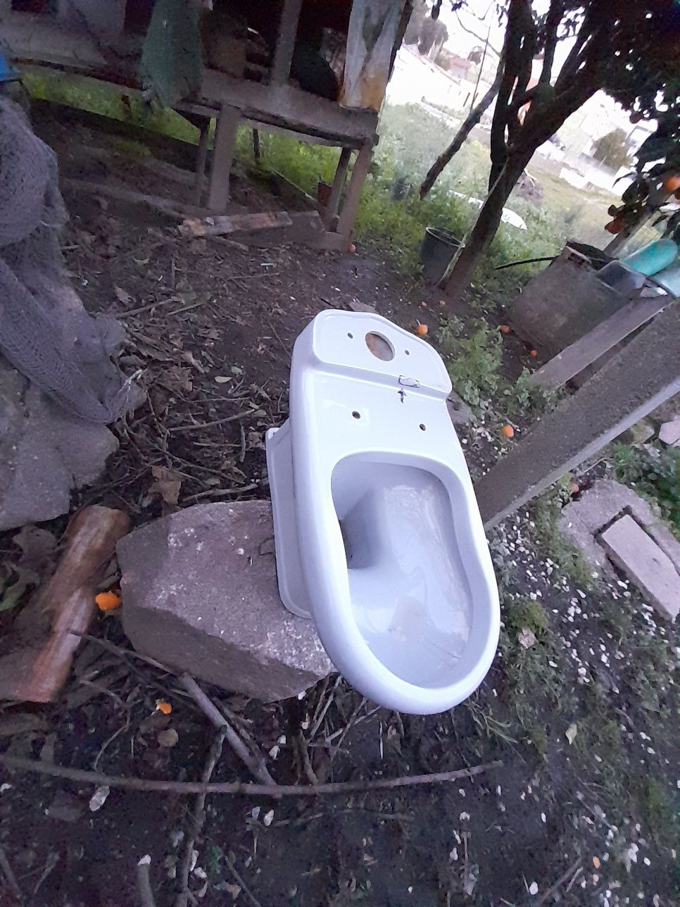 Lavatórios,,  sanitas
