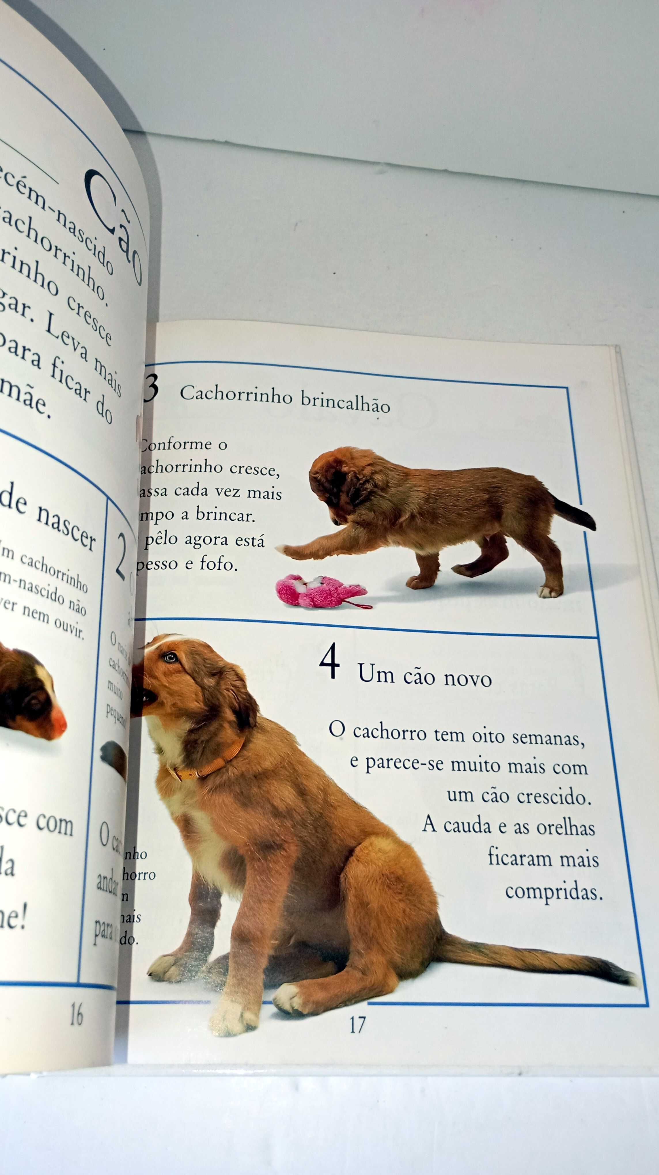 Como Crescem - Animais e Plantas