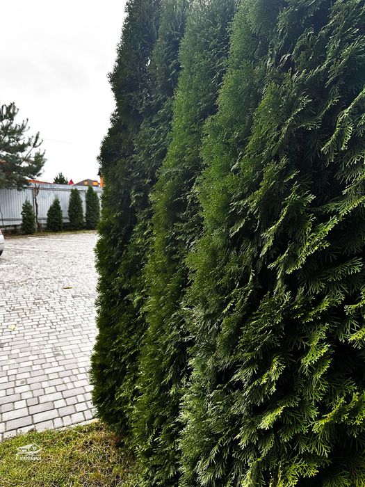 Таунхаус з ремонтом 75+20 м кв 3 кім. вул. Мейса Джеймса р-н Торгмаш