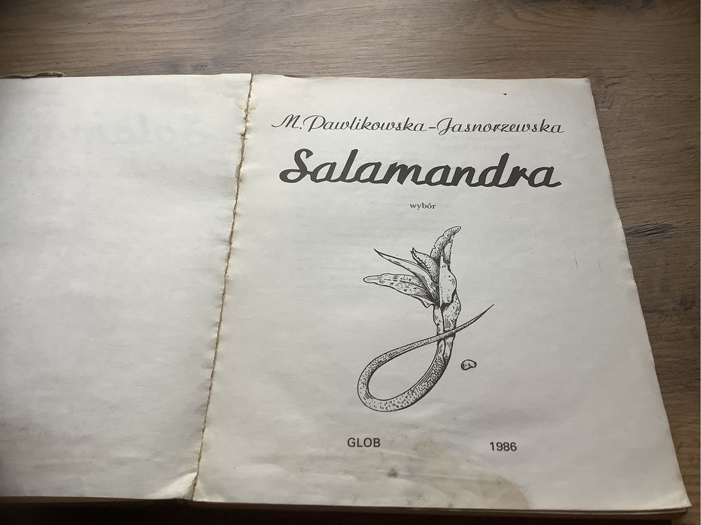 Salamandra pawlikowska Jasnorzewska