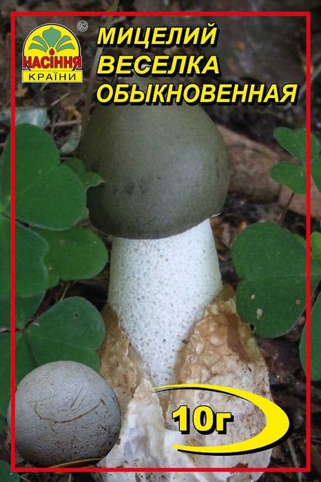 Мицелий грибов сухой