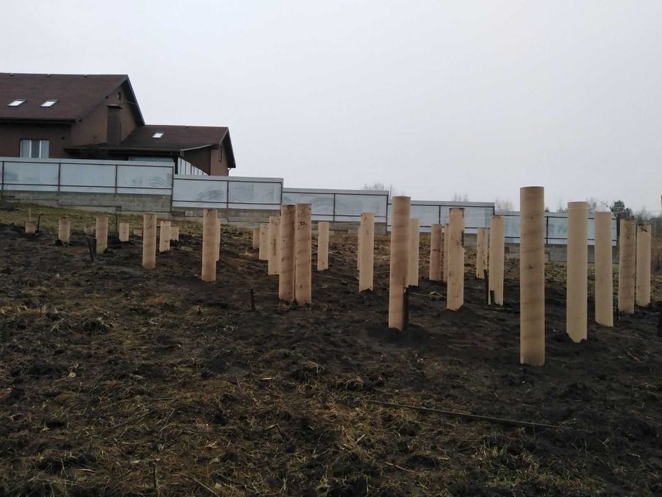 ПАЛІ / Сваи / Буро-заливні / Тисє / Фундаменти / Обв'язка / Бетон /