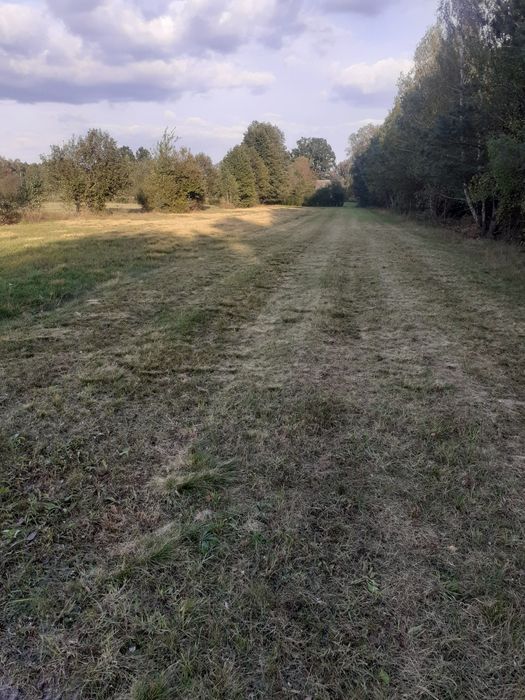 Wydzierżawię działkę 40000 m2