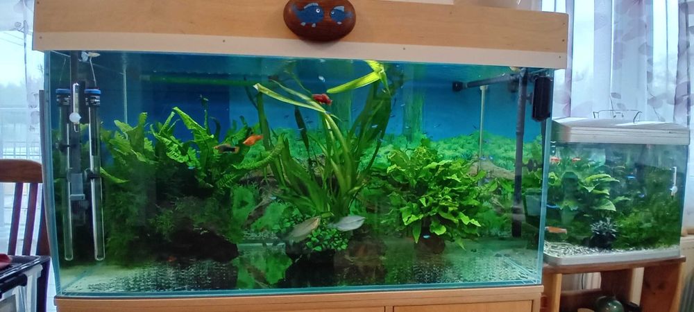Sprzedam akwarium 360 l optiwhite