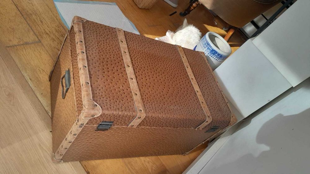 Bau de viagem castanho